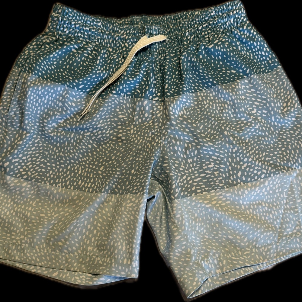 Chubbies Men’s Swim 7”